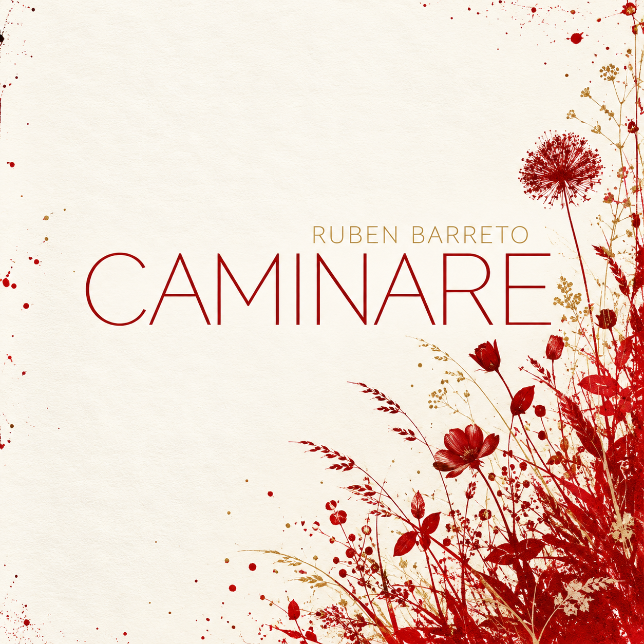 Cover art for Caminare by Ruben Barreto